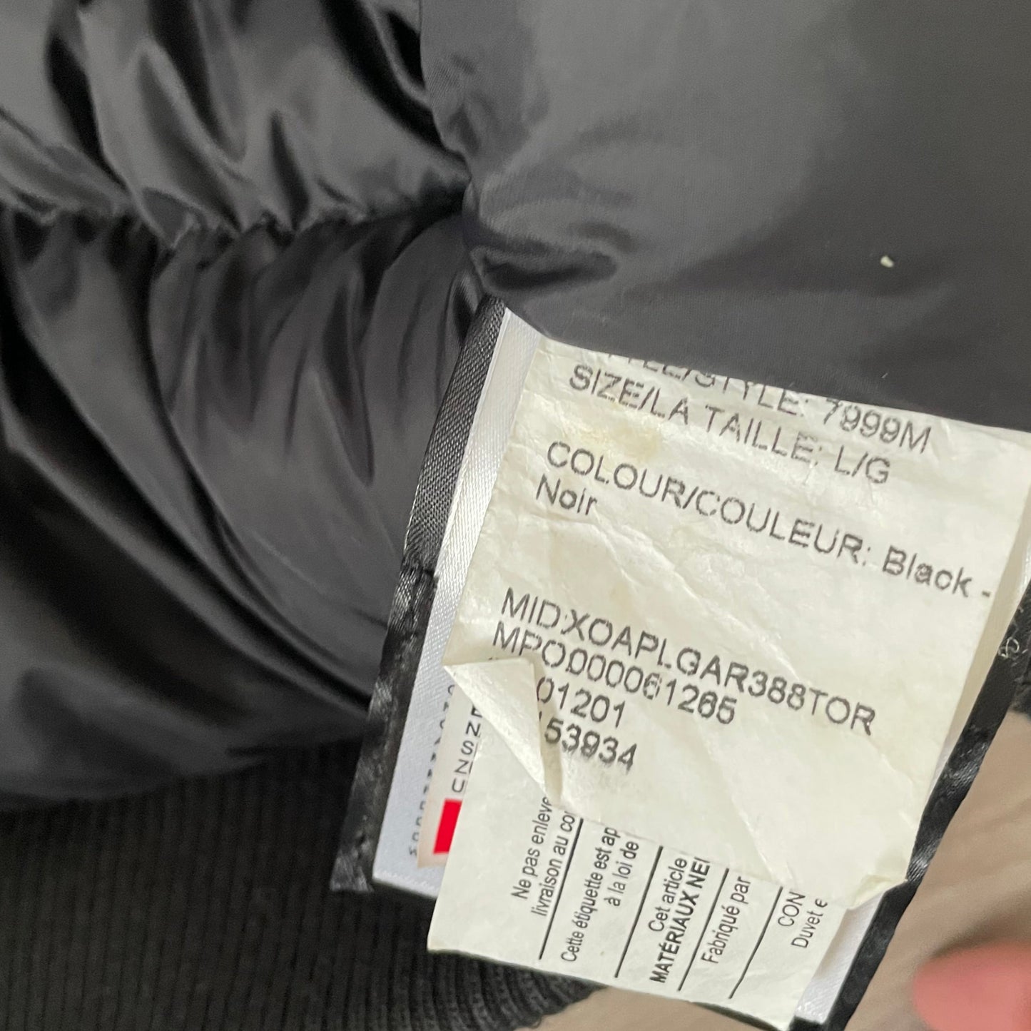Black Canada Goose Chilliwack- L