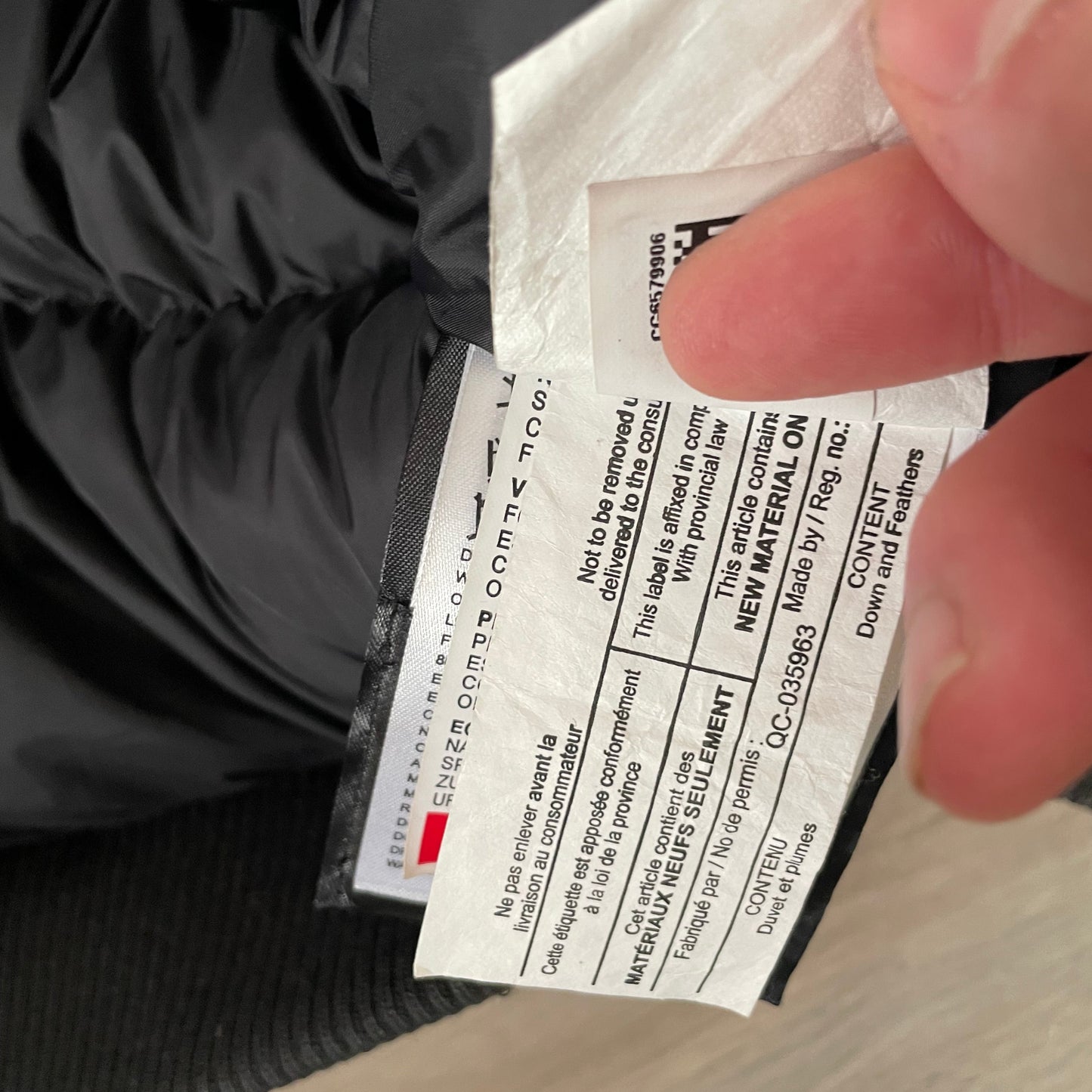 Black Canada Goose Chilliwack- L