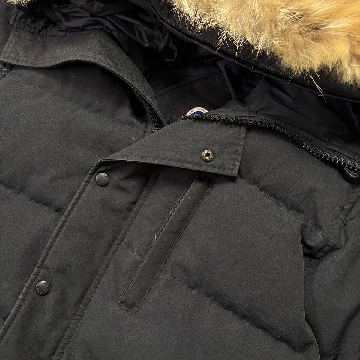 Canada Goose Carson- L