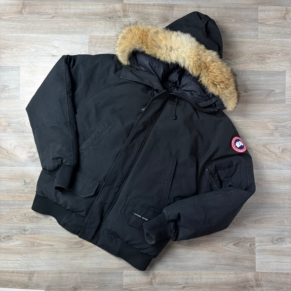 Canada Goose Chilliwack - S