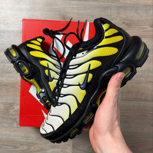 Air Max Plus- 9