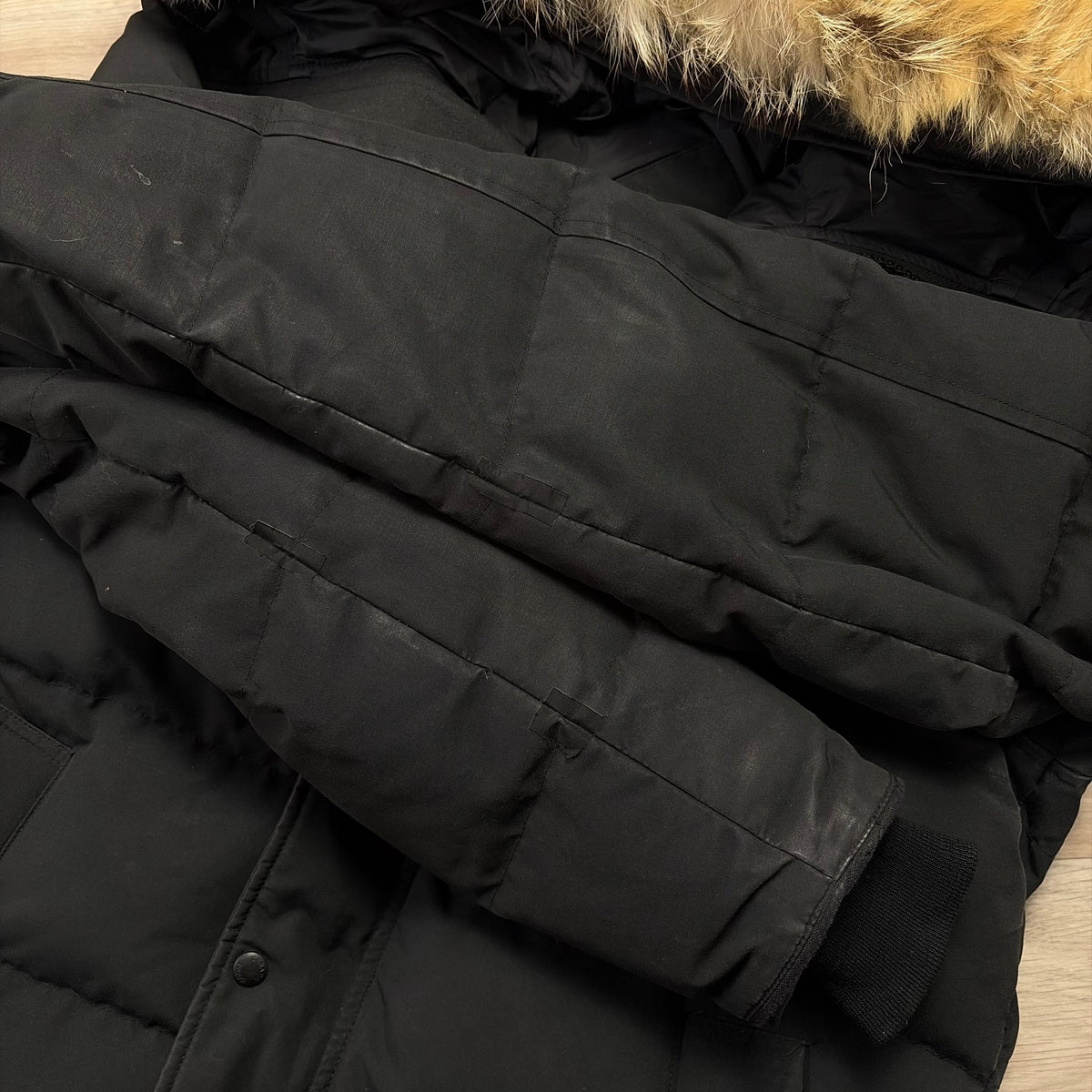 Canada Goose Carson- L