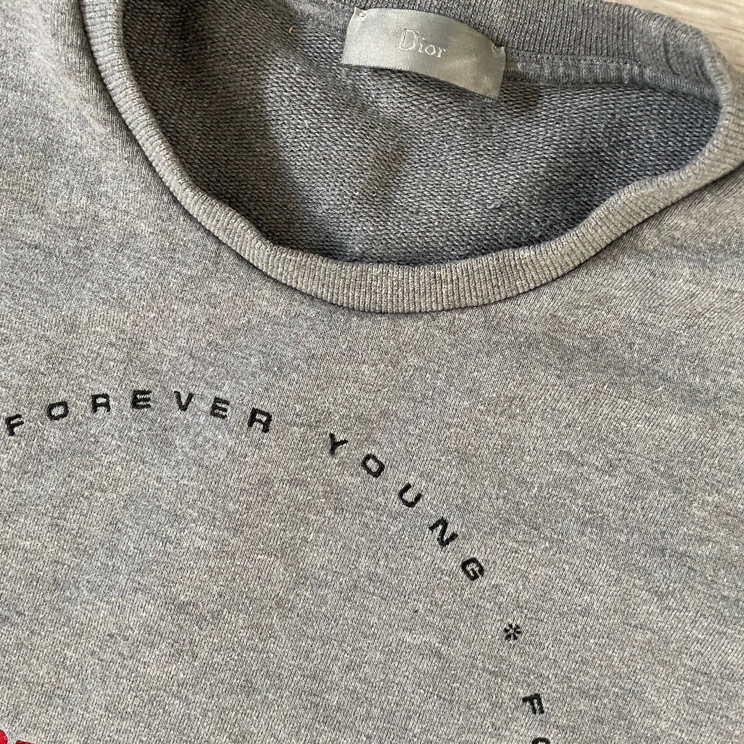 Dior Jumper- L (fits M)